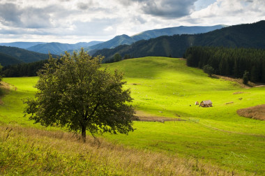 Na košiari, slnko žiari Na košiari, slnko žiari