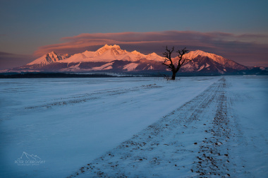 stranka-2 stranka-2